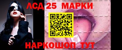Альфа ПВП Новодвинск