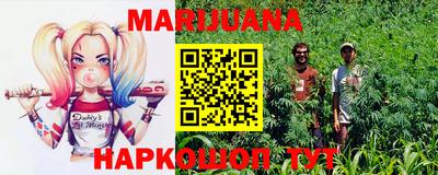 Альфа ПВП Новодвинск