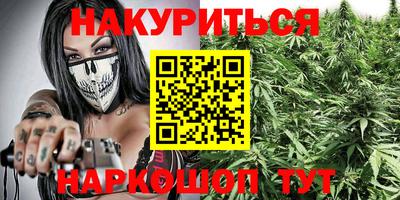 Альфа ПВП Новодвинск